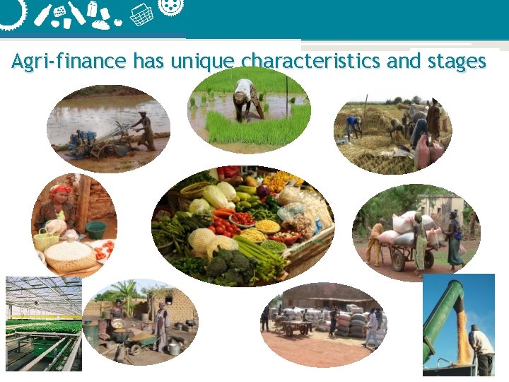 Agricultural Value Chain Financing A strategy towards replacing