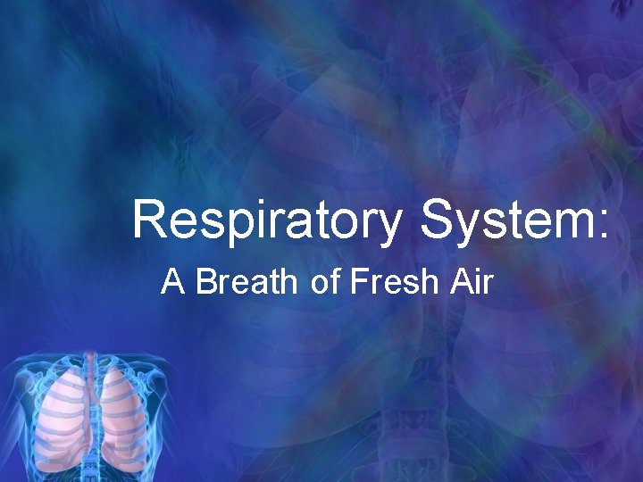 Respiratory System: A Breath of Fresh Air 