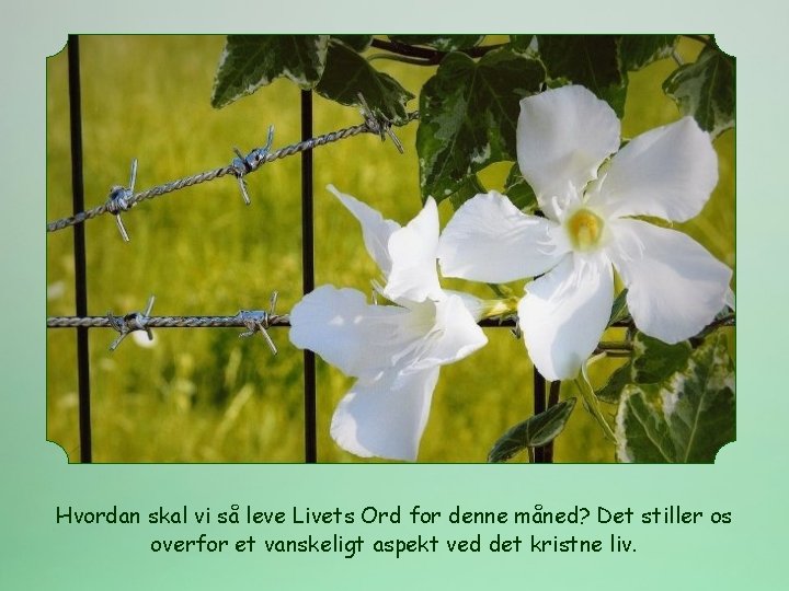 Hvordan skal vi så leve Livets Ord for denne måned? Det stiller os overfor