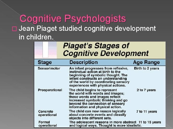 Cognitive Psychologists � Jean Piaget studied cognitive development in children. 