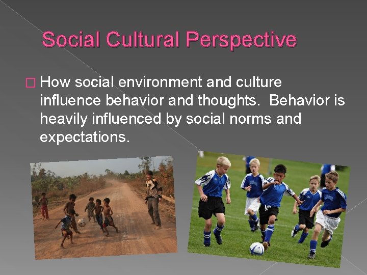 Social Cultural Perspective � How social environment and culture influence behavior and thoughts. Behavior