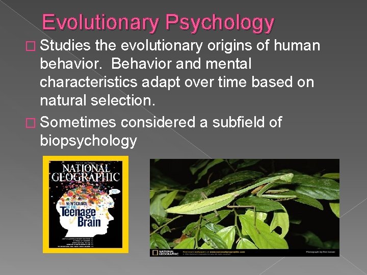 Evolutionary Psychology � Studies the evolutionary origins of human behavior. Behavior and mental characteristics
