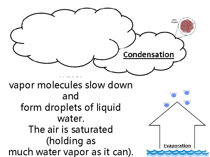 At cooler temperatures water vapor molecules slow down and form droplets of liquid water.