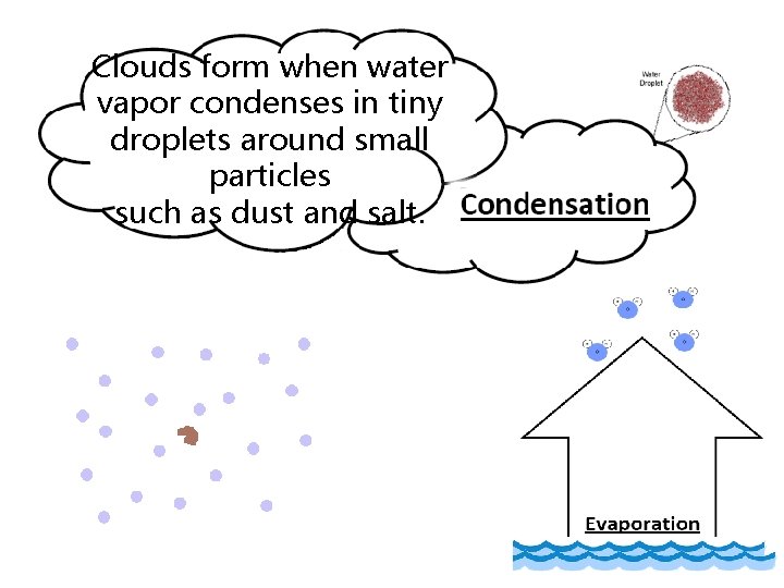 Clouds form when water vapor condenses in tiny droplets around small particles such as