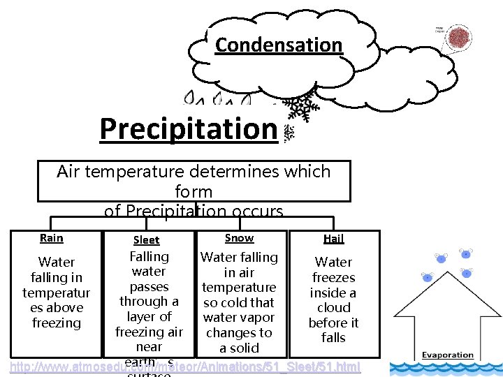 Condensation Precipitation Air temperature determines which form of Precipitation occurs Rain Snow Hail Sleet