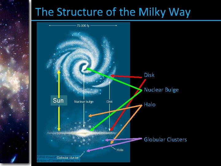 The Structure of the Milky Way Disk Nuclear Bulge Sun Halo Globular Clusters 