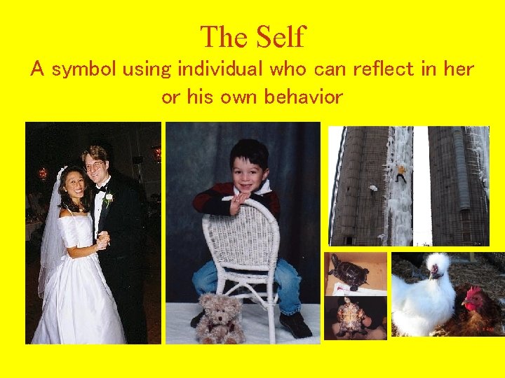 The Self A symbol using individual who can reflect in her or his own