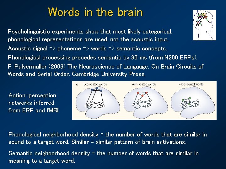 Words in the brain Psycholinguistic experiments show that most likely categorical, phonological representations are