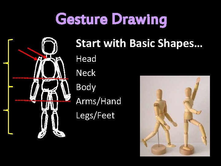 Gesture Drawing Start with Basic Shapes… Head Neck Body Arms/Hand Legs/Feet 