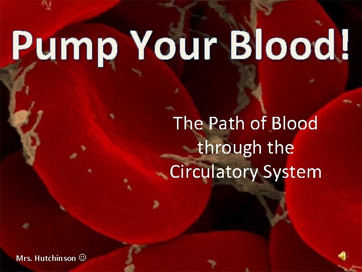 Pump Your Blood! The Path of Blood through the Circulatory System Mrs. Hutchinson 