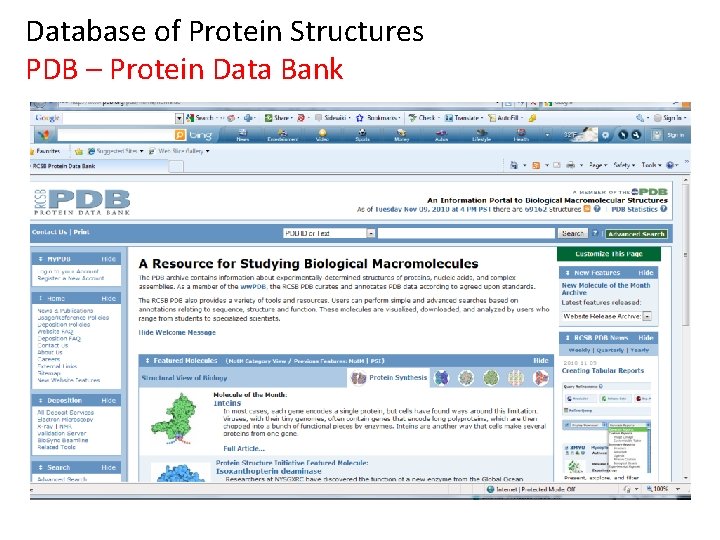Database of Protein Structures PDB – Protein Data Bank 