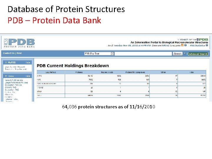 Database of Protein Structures PDB – Protein Data Bank 64, 036 protein structures as