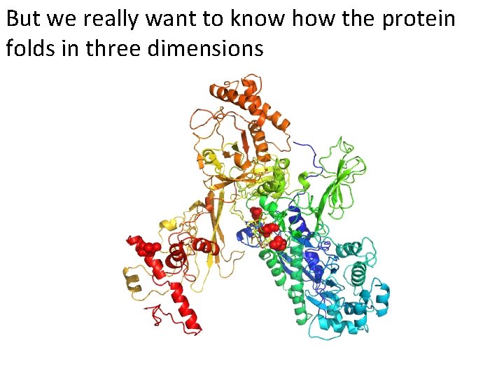 But we really want to know how the protein folds in three dimensions 