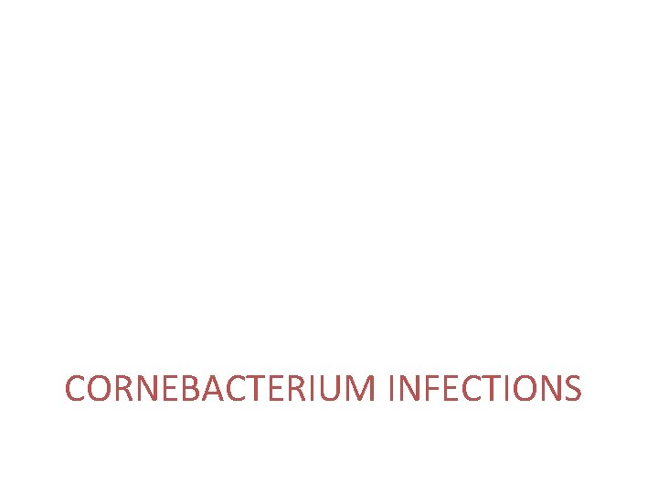 CORNEBACTERIUM INFECTIONS 