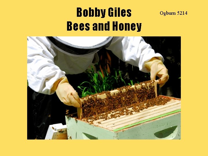 Bobby Giles Bees and Honey Ogburn 5214 