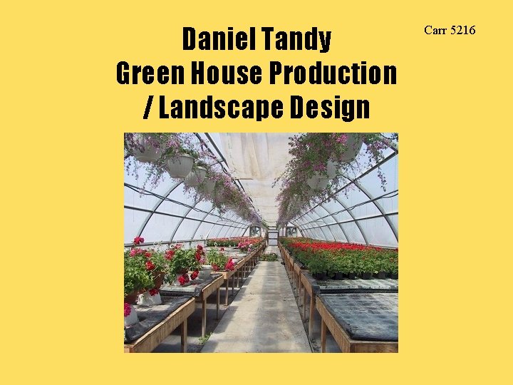 Daniel Tandy Green House Production / Landscape Design Carr 5216 