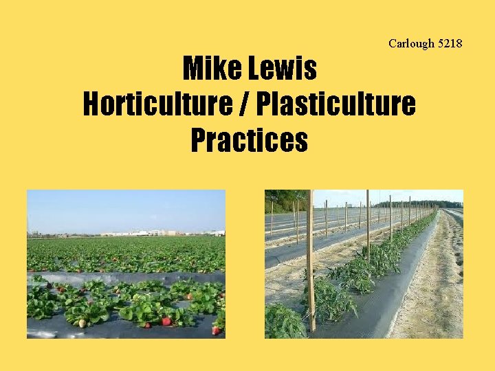 Carlough 5218 Mike Lewis Horticulture / Plasticulture Practices 