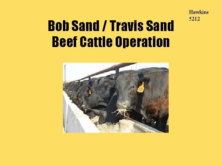 Bob Sand / Travis Sand Beef Cattle Operation Hawkins 5212 