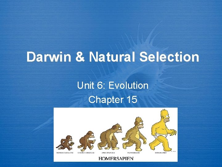 Darwin & Natural Selection Unit 6: Evolution Chapter 15 