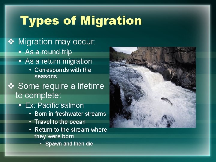 Types of Migration v Migration may occur: § As a round trip § As
