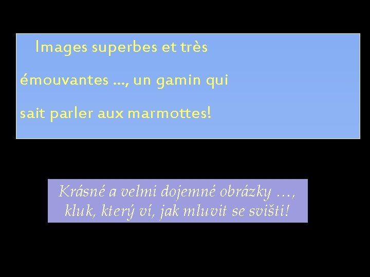 Images superbes et très émouvantes. . . , un gamin qui sait parler aux