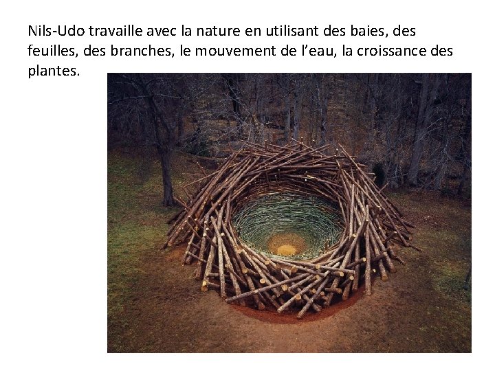 Nils-Udo travaille avec la nature en utilisant des baies, des feuilles, des branches, le