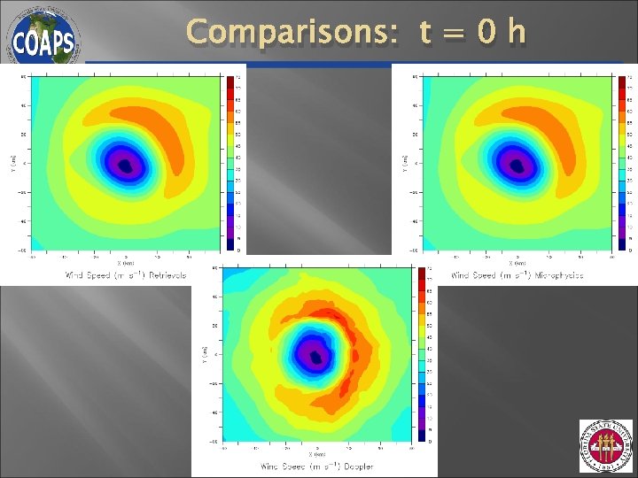 Comparisons: t = 0 h Comparisons: t = 0 h