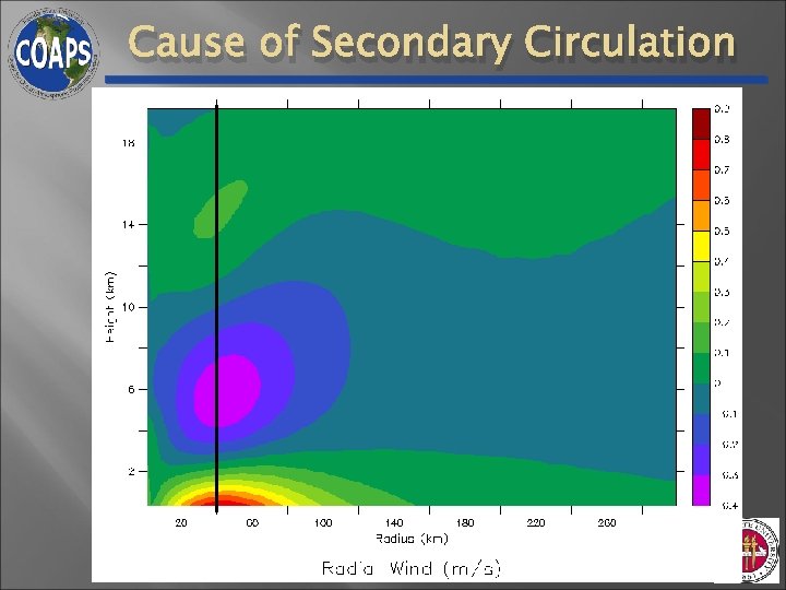 Cause of Secondary Circulation Cause of Secondary Circulation