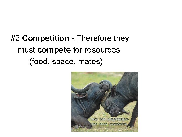 #2 Competition - Therefore they must compete for resources (food, space, mates) 
