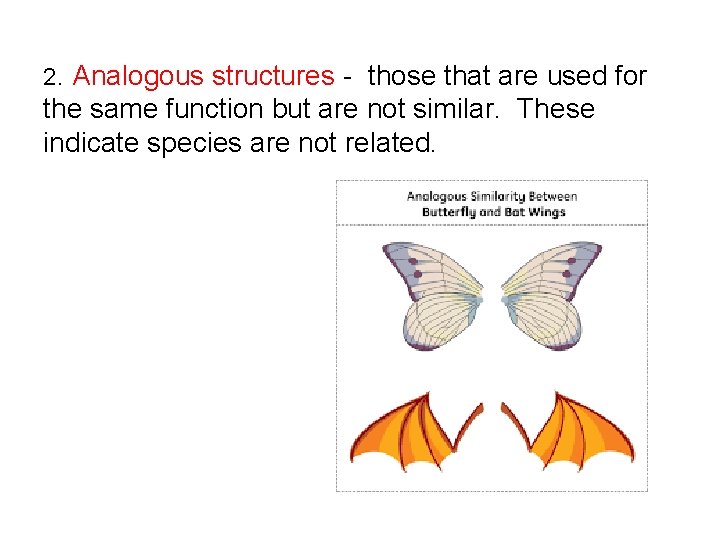 2. Analogous structures - those that are used for the same function but are