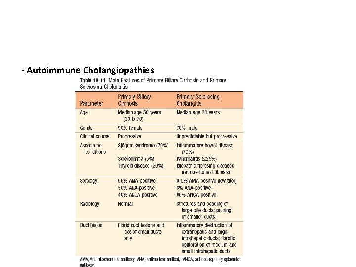 - Autoimmune Cholangiopathies 