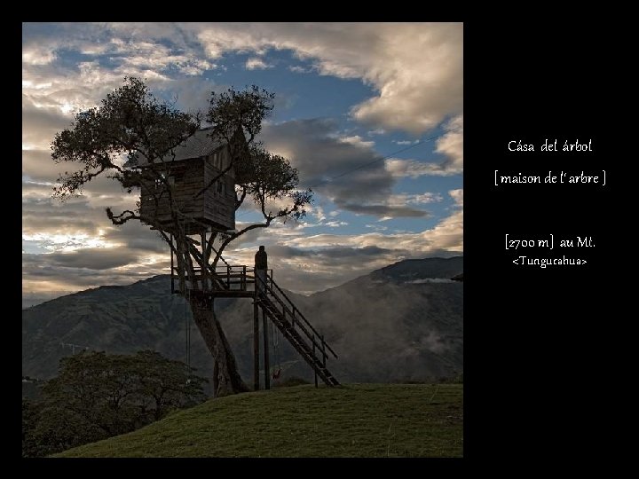 Cása del árbol [ maison de l‘ arbre ] [2700 m] au Mt. <Tungurahua>