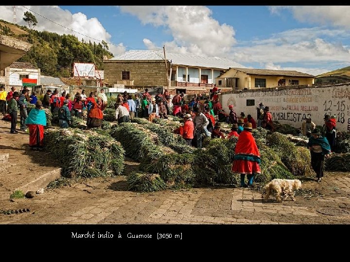 Marché indio à Guamote [3050 m] 