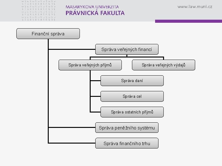 www. law. muni. cz Finanční správa Správa veřejných financí Správa veřejných příjmů Správa veřejných