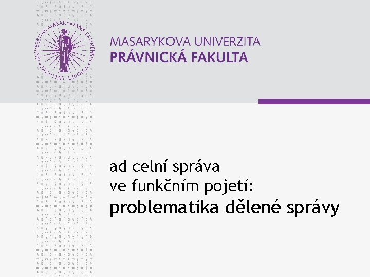 ad celní správa ve funkčním pojetí: problematika dělené správy 