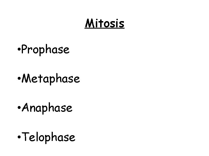 Mitosis • Prophase • Metaphase • Anaphase • Telophase 