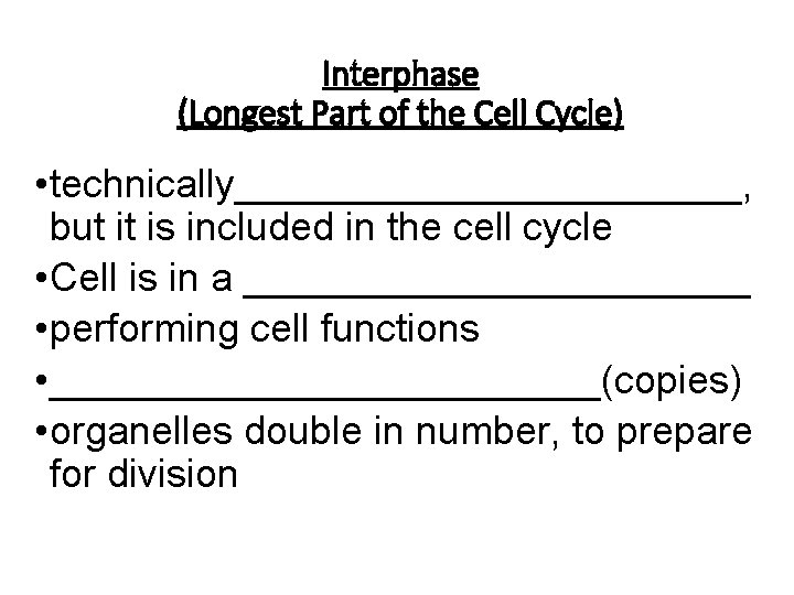 Interphase (Longest Part of the Cell Cycle) • technically____________, but it is included in