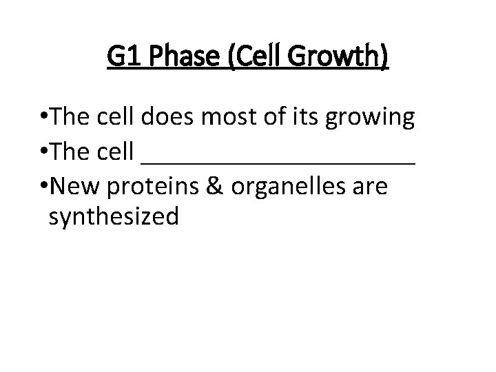 G 1 Phase (Cell Growth) • The cell does most of its growing •