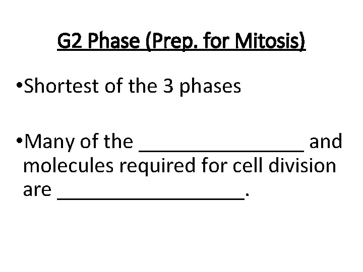 G 2 Phase (Prep. for Mitosis) • Shortest of the 3 phases • Many