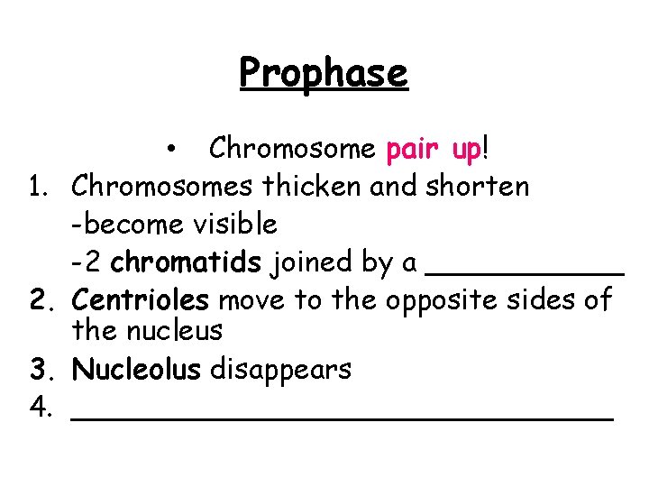 Prophase 1. 2. 3. 4. • Chromosome pair up! Chromosomes thicken and shorten -become