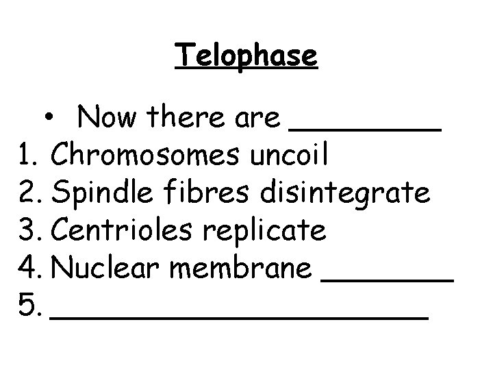 Telophase • Now there are ____ 1. Chromosomes uncoil 2. Spindle fibres disintegrate 3.