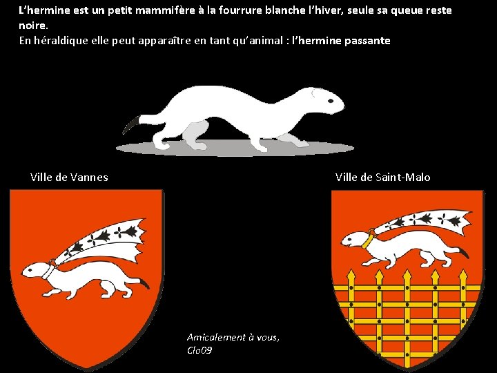 L’hermine est un petit mammifère à la fourrure blanche l’hiver, seule sa queue reste