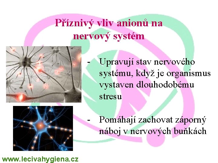 Příznivý vliv anionů na nervový systém - Upravují stav nervového systému, když je organismus