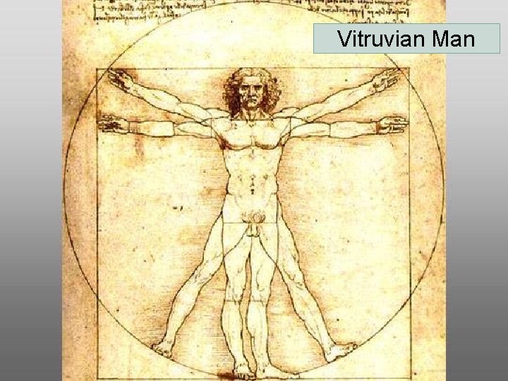 Vitruvian Man 