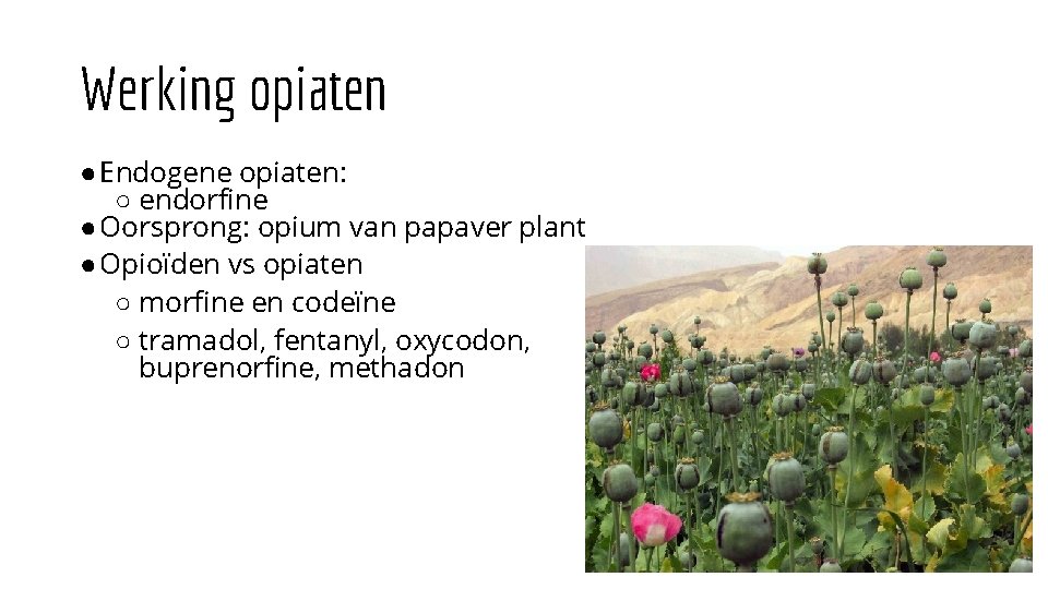 Werking opiaten ●Endogene opiaten: ○ endorfine ●Oorsprong: opium van papaver plant ●Opioïden vs opiaten