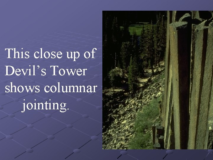 This close up of Devil’s Tower shows columnar jointing. 