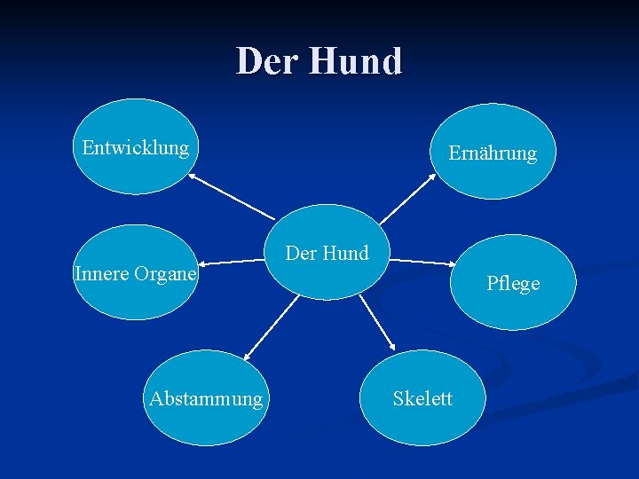 Der Hund Entwicklung Innere Organe Abstammung Ernährung Der Hund Pflege Skelett 