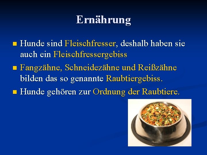 Ernährung Hunde sind Fleischfresser, deshalb haben sie auch ein Fleischfressergebiss n Fangzähne, Schneidezähne und