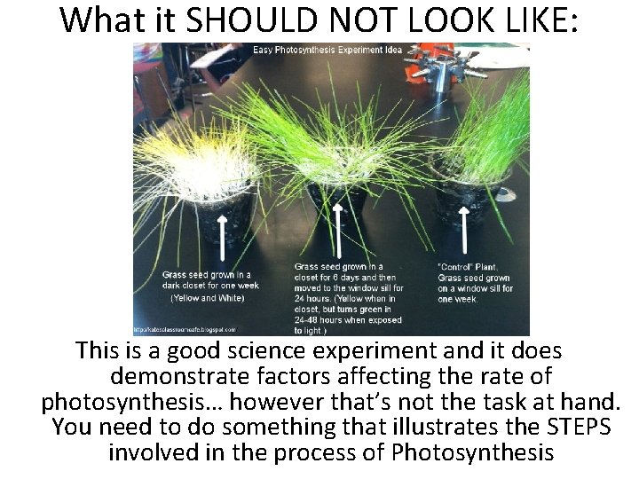 What it SHOULD NOT LOOK LIKE: This is a good science experiment and it