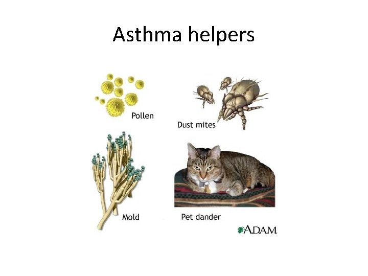 Asthma helpers 